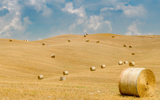 1471442 (a): :2560x1600